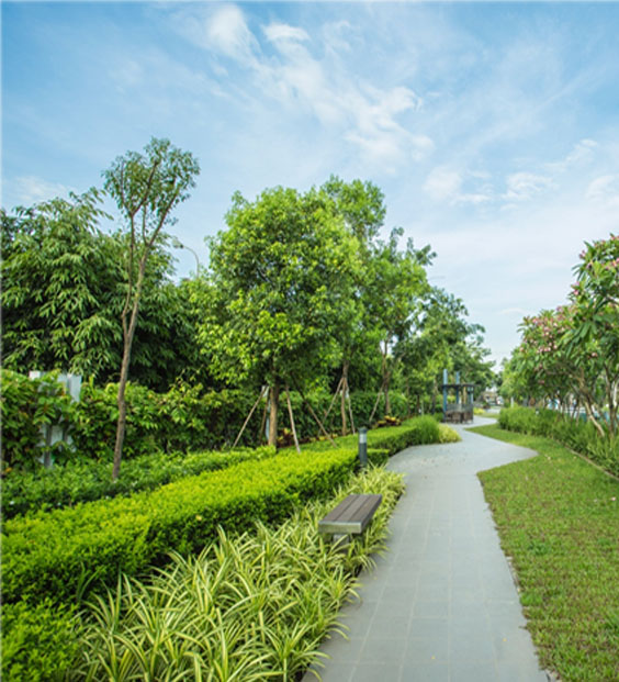 Chăm sóc cây xanh cảnh quan - Cây Xanh Thủ Đô - Công Ty TNHH Sản Xuất Và Kinh Doanh Cây Xanh Thủ Đô
